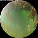 ./images/calvert/underwater/20260702/underwater20260702_071501M.jpg