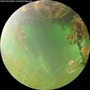 ./images/calvert/underwater/20260702/underwater20260702_074001M.jpg