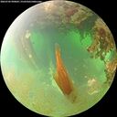 ./images/calvert/underwater/20260702/underwater20260702_090002M.jpg