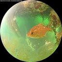 ./images/calvert/underwater/20260702/underwater20260702_101001M.jpg