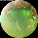 ./images/calvert/underwater/20260702/underwater20260702_102501M.jpg