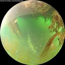 ./images/calvert/underwater/20260702/underwater20260702_103001M.jpg