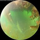 ./images/calvert/underwater/20260702/underwater20260702_104501M.jpg
