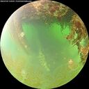 ./images/calvert/underwater/20260702/underwater20260702_110501M.jpg