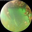 ./images/calvert/underwater/20260702/underwater20260702_111001M.jpg