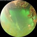 ./images/calvert/underwater/20260702/underwater20260702_113001M.jpg