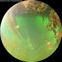 ./images/calvert/underwater/20260702/underwater20260702_113501M.jpg