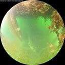 ./images/calvert/underwater/20260702/underwater20260702_114501M.jpg
