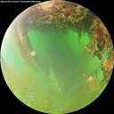 ./images/calvert/underwater/20260702/underwater20260702_115501M.jpg