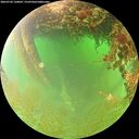 ./images/calvert/underwater/20260702/underwater20260702_120002M.jpg