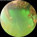 ./images/calvert/underwater/20260702/underwater20260702_120501M.jpg
