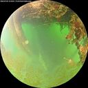 ./images/calvert/underwater/20260702/underwater20260702_121001M.jpg