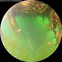 ./images/calvert/underwater/20260702/underwater20260702_121501M.jpg