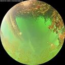 ./images/calvert/underwater/20260702/underwater20260702_123001M.jpg