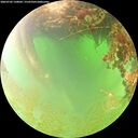 ./images/calvert/underwater/20260702/underwater20260702_130001M.jpg
