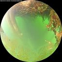 ./images/calvert/underwater/20260702/underwater20260702_130501M.jpg
