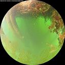 ./images/calvert/underwater/20260702/underwater20260702_132501M.jpg