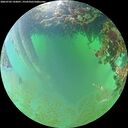 ./images/calvert/underwater/20260702/underwater20260702_143001M.jpg