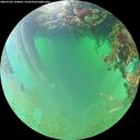 ./images/calvert/underwater/20260702/underwater20260702_144002M.jpg