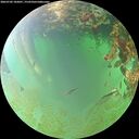 ./images/calvert/underwater/20260702/underwater20260702_182001M.jpg