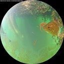 ./images/calvert/underwater/20260702/underwater20260702_182501M.jpg