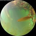 ./images/calvert/underwater/20260702/underwater20260702_192001M.jpg