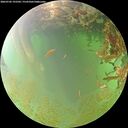 ./images/calvert/underwater/20260702/underwater20260702_192502M.jpg