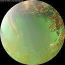 ./images/calvert/underwater/20260702/underwater20260702_194501M.jpg