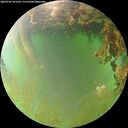 ./images/calvert/underwater/20260702/underwater20260702_201501M.jpg