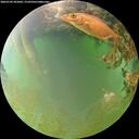 ./images/calvert/underwater/20260702/underwater20260702_202001M.jpg