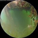 ./images/calvert/underwater/20260702/underwater20260702_210501M.jpg