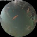 ./images/calvert/underwater/20260702/underwater20260702_220501M.jpg