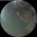 ./images/calvert/underwater/20260702/underwater20260702_221501M.jpg