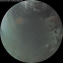 ./images/calvert/underwater/20260702/underwater20260702_222001M.jpg