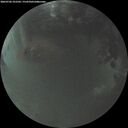 ./images/calvert/underwater/20260702/underwater20260702_222502M.jpg