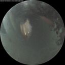 ./images/calvert/underwater/20260703/underwater20260703_045501M.jpg
