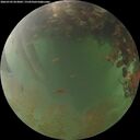 ./images/calvert/underwater/20260703/underwater20260703_053002M.jpg