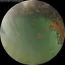 ./images/calvert/underwater/20260703/underwater20260703_054001M.jpg