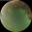 ./images/calvert/underwater/20260703/underwater20260703_055001M.jpg