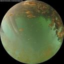 ./images/calvert/underwater/20260703/underwater20260703_061001M.jpg