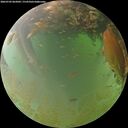 ./images/calvert/underwater/20260703/underwater20260703_062002M.jpg