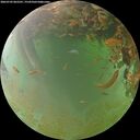 ./images/calvert/underwater/20260703/underwater20260703_062501M.jpg