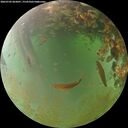 ./images/calvert/underwater/20260703/underwater20260703_063001M.jpg