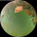 ./images/calvert/underwater/20260703/underwater20260703_063501M.jpg