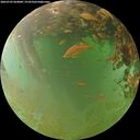 ./images/calvert/underwater/20260703/underwater20260703_064001M.jpg