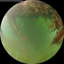 ./images/calvert/underwater/20260703/underwater20260703_064501M.jpg