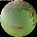 ./images/calvert/underwater/20260703/underwater20260703_065002M.jpg