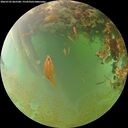 ./images/calvert/underwater/20260703/underwater20260703_065501M.jpg