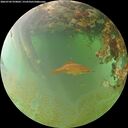 ./images/calvert/underwater/20260703/underwater20260703_070001M.jpg