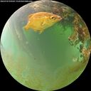 ./images/calvert/underwater/20260703/underwater20260703_070501M.jpg
